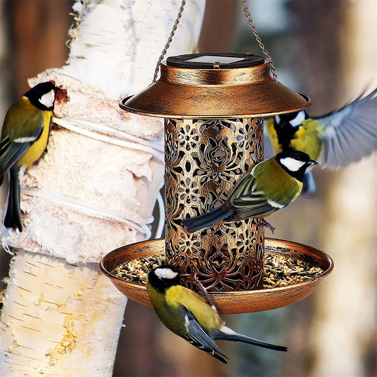 Solar Bird Seed Feeder | Hanging Outdoor Garden Feeder for Wild Birds