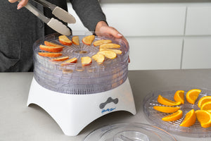 Digital Food Dehydrator/Dryer/Preserver | 2 Power Levels | Healthy & Versatile