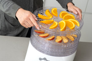 Digital Food Dehydrator/Dryer/Preserver | 2 Power Levels | Healthy & Versatile