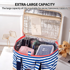 Blue Insulated Picnic Bag | Thermal Cooler | Portable Lunch Food Tote | Carry Storage Bag