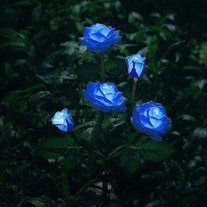 Blue Bulk Solar Garden Lights | 75cm Long Rose Flowers | Yard Lamp Xmas Halloween Deco | AU