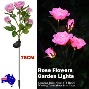 Pink Bulk Solar Garden Lights | 75cm Long Rose Flowers | Yard Lamp | Xmas | Halloween Deco | AU