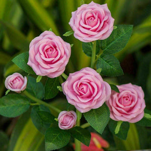 Pink Bulk Solar Garden Lights | 75cm Long Rose Flowers | Yard Lamp | Xmas | Halloween Deco | AU