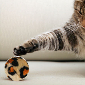 33x Pet Toys Puppy Dog Cat | Durable Cotton Rope | Pull Teeth Clean Chew Toy Set | AU