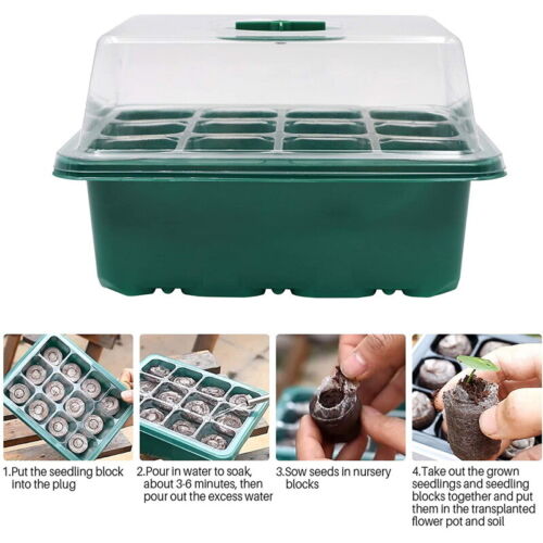 10 Set 12-Hole Plant Seed Grow Box | Propagation Nursery Seedling Starter Tray