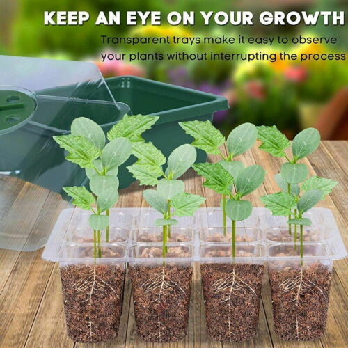 10 Set 12-Hole Plant Seed Grow Box | Propagation Nursery Seedling Starter Tray