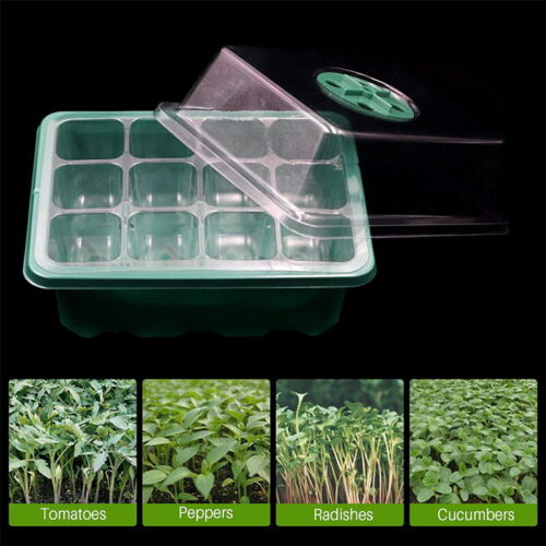 10 Set 12-Hole Plant Seed Grow Box | Propagation Nursery Seedling Starter Tray