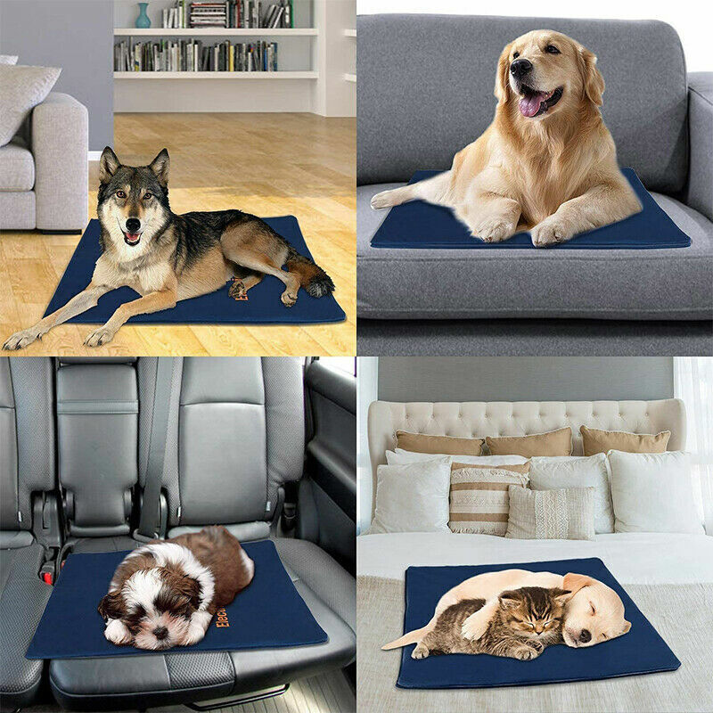 Electric Pet Heat Pad | Waterproof Heating Mat | Chew Resistant | XL | Cat & Dog Bed