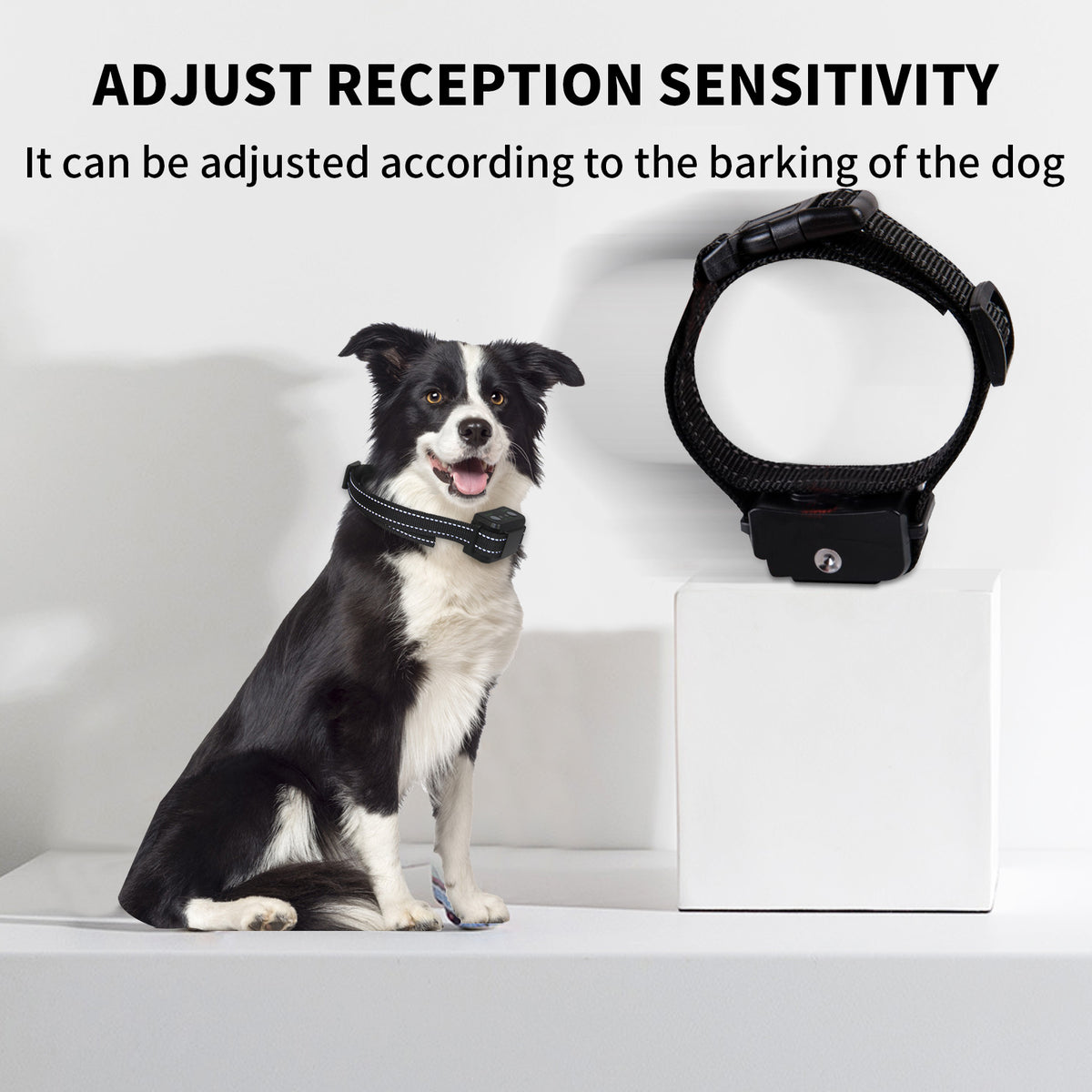 Dog Citronella Anti-Bark Collar | Rechargeable | Humane Training | Stop Barking