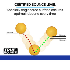 Proflex Table Tennis Table | 4 Player Ping Pong Paddle & Ball Pack