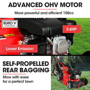 Baumr-AG | Lawn Mower | 18” | 150cc | 8 Heights | Steel Deck | Cup Holders | 4-Stroke Petrol | 730EX