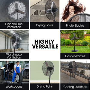 BAUMR-AG Industrial Pedestal Fan | 30" 762mm | 300W | Heavy-Duty | 3-Speed | Commercial | EESS Certified