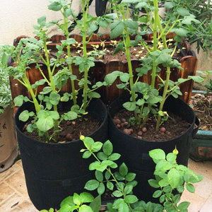 NOVEDEN 5 Packs 7 Gallon Plant Grow Bags with Window Flap (Dark Green) NE-PB-102-KJ