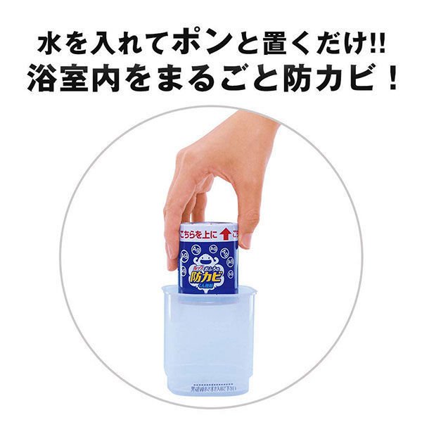 [6-Pack] Lion Japan Anti-Mold & Deodorizing Spray | Bathroom Use | 5g Floral Fragrance