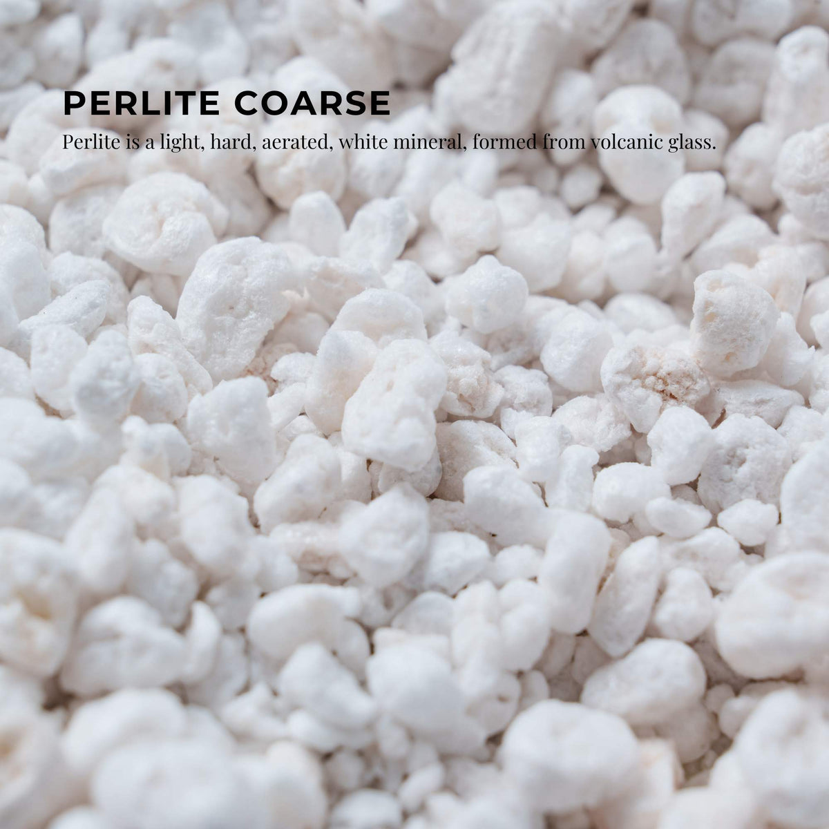 100L Organic Perlite Coarse Premium Soil Expanded Medium | Plants Hydroponics Bulk