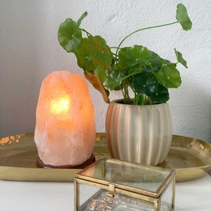 12V 12W 1-2 kg Himalayan Pink Salt Lamp | Natural Rock Crystal Light with On/Off Switch