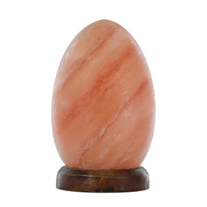12V 12W Egg Himalayan Pink Salt Lamp | Carved Rock Crystal Light with On/Off Switch