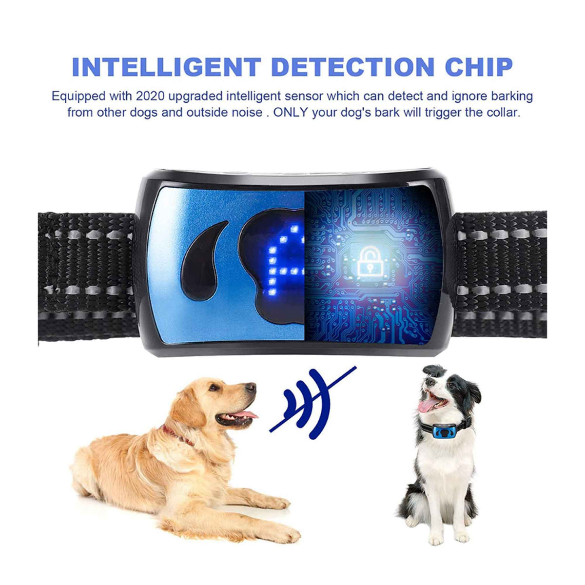 Dog Bark Collar | Vibration | Magnetic Charging | Waterproof | Smart Barking Detection