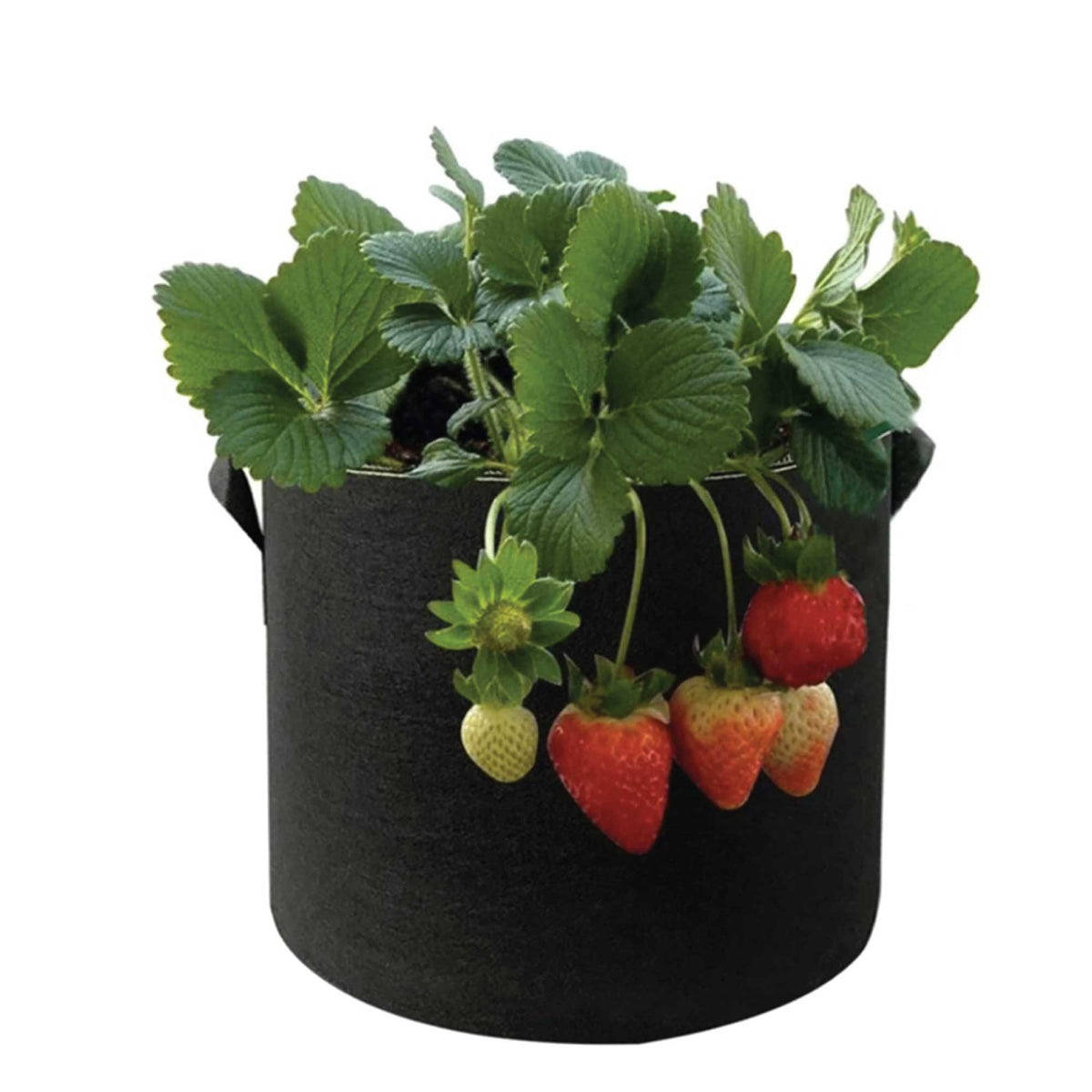 Fabric Flower Pots | 6 Pack | 10 Gallon | 38L | Garden Planter Bags | Black Felt Root Pouch