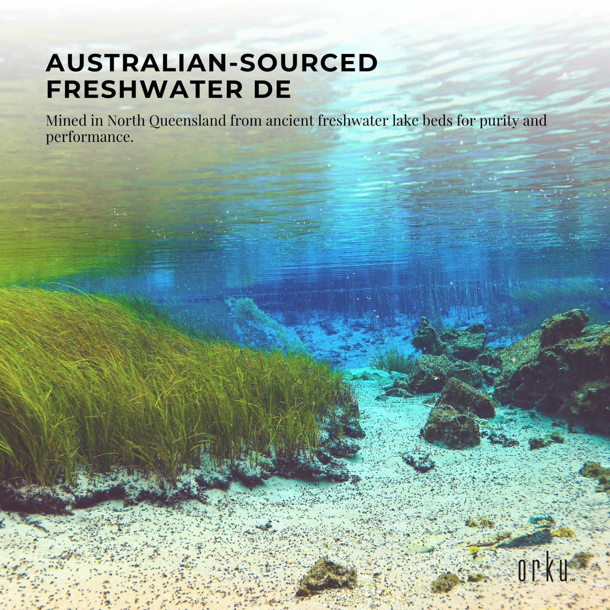 3Kg Organic Fossil Shell Flour Tub | Livestock and Garden Grade Diatomaceous Earth