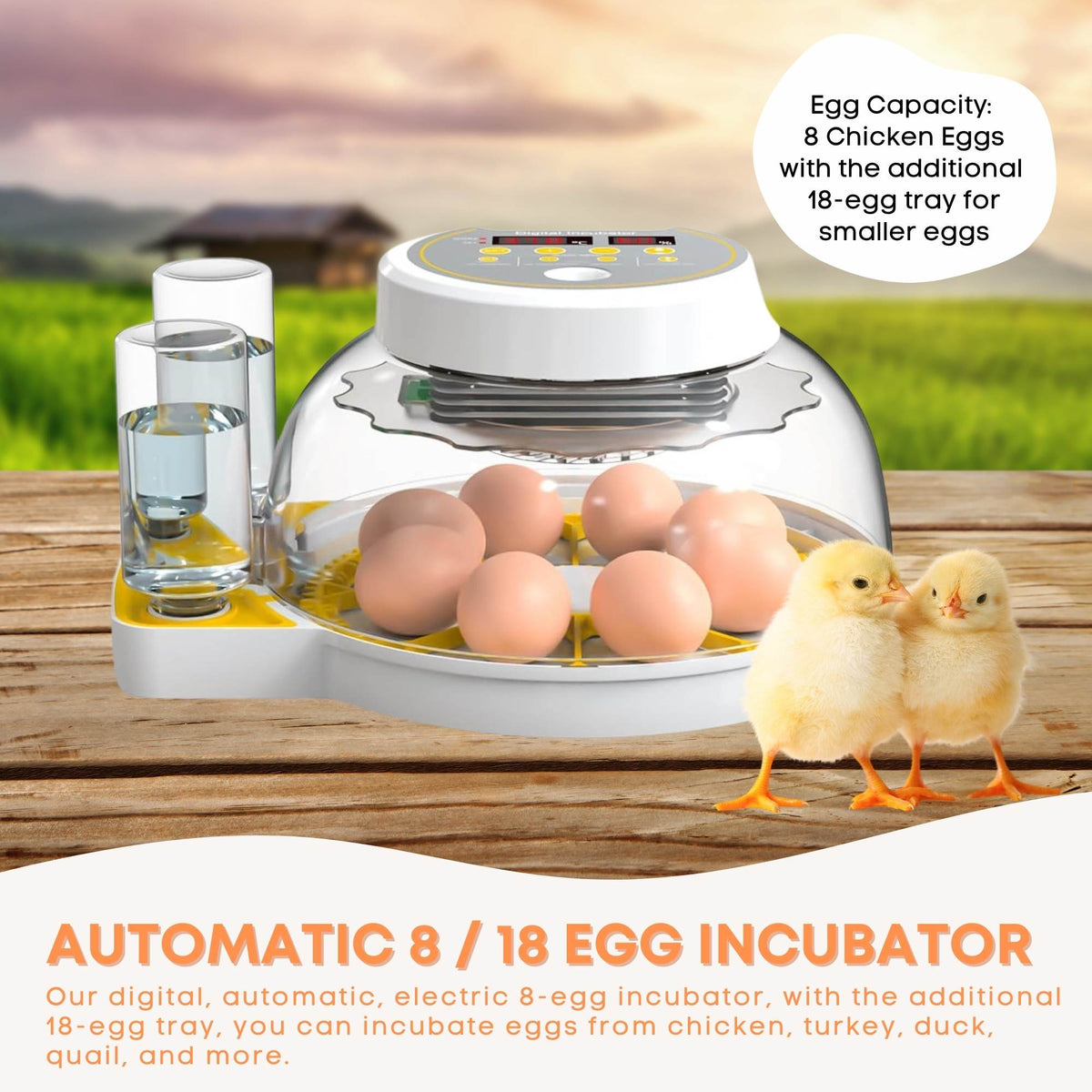 Automatic 8/18 Egg Incubator | Electrical Turning | Chicken Quail Duck Hatching