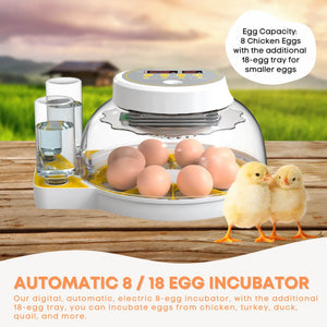 Automatic 8/18 Egg Incubator | Electrical Turning | Chicken Quail Duck Hatching