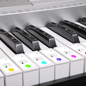 Karrera 61-Key Electronic LED Keyboard Piano with Stand | Silver | Music Learning Instrument