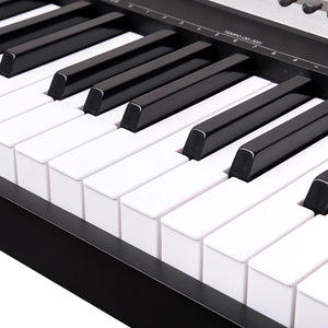 Karrera 88-Key Electronic Keyboard Piano with Stand | Black | Full-Size Digital Piano