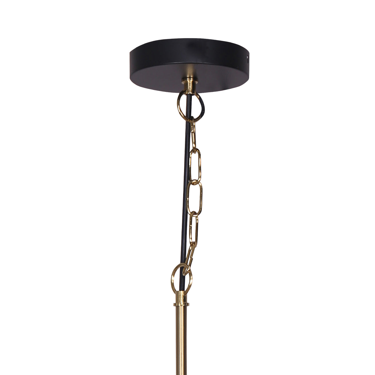 Black and Gold Pendant Light | Elegant Metal Lighting Fixture