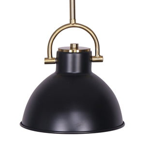 Black and Gold Pendant Light | Elegant Metal Lighting Fixture