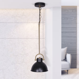 Black and Gold Pendant Light | Elegant Metal Lighting Fixture