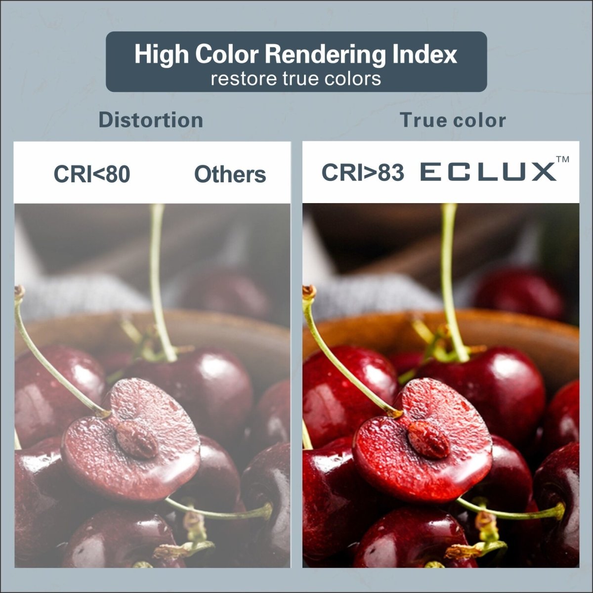 1 PCS NEW RADAR SENSOR LED DOWNLIGHT KIT 90MM | 10W NON-DIM 3-COLOR, Warm White, Cool White, Daylight