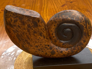 Decorative Hand Carved Wooden Shell on Stand