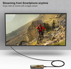 USB C to DVI Cable | 1.8m