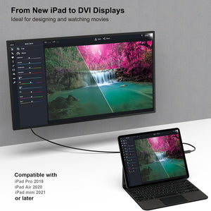 USB C to DVI Cable | 1.8m