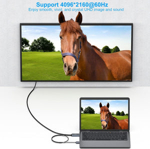 HDMI to DisplayPort Cable | 1.8M (6 Feet)