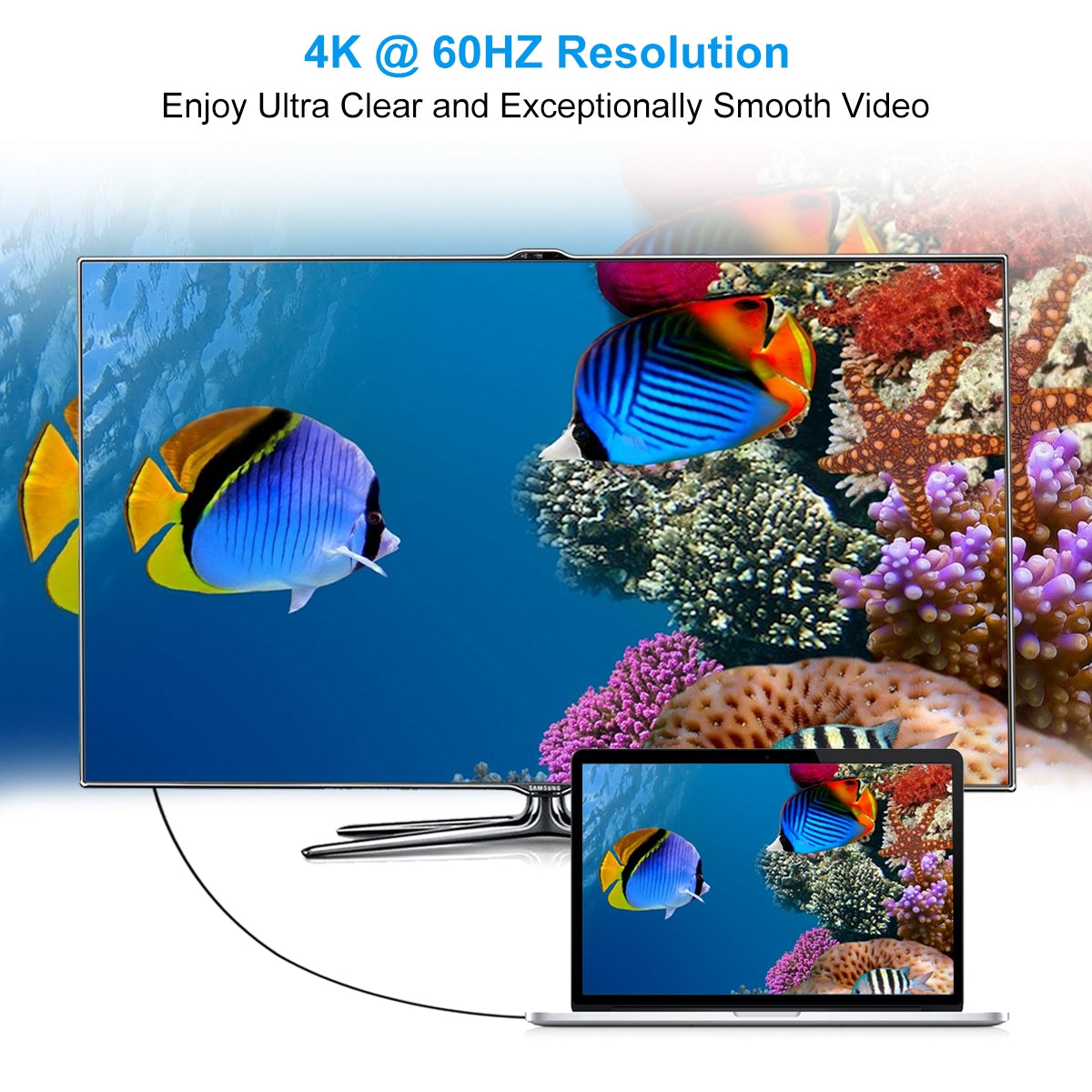 XCP-1801BK USB-C to DisplayPort Cable | 1.8M