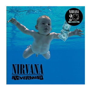 Nirvana - Nevermind 20th Anniversary CD Framed Album Art | Grunge Rock Memorabilia