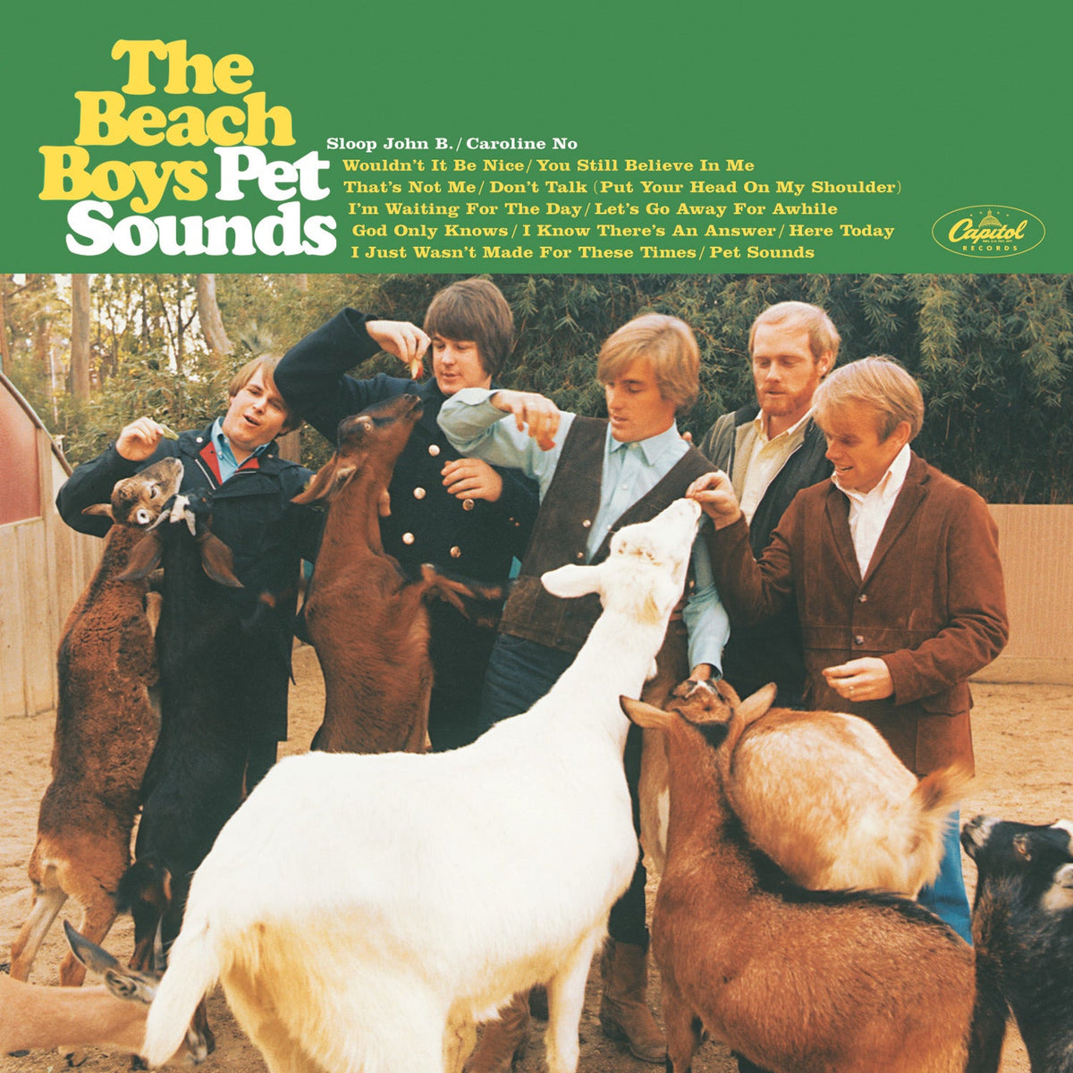 The Beach Boys - Pet Sounds Vinyl Album | Classic 60s Music Collection