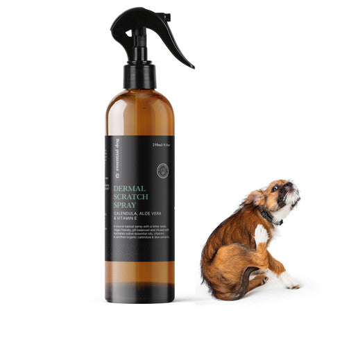 Natural Anti Itch Scratch Spray for Dogs | Aloe, Tea Tree, and Vitamin E