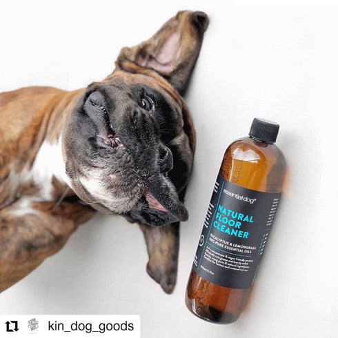 Essential Dog Natural Floor Cleaner | 500ml | Eucalyptus & Lemongrass | Pet-Safe Formula