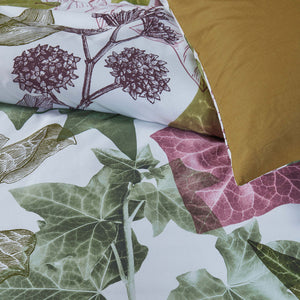 Bedding House | Ivy Multi Cotton | Quilt Cover Set | King