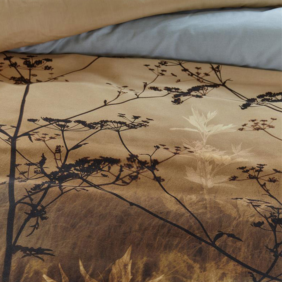 Bedding House | Judy Brown Cotton | Quilt Cover Set | Queen