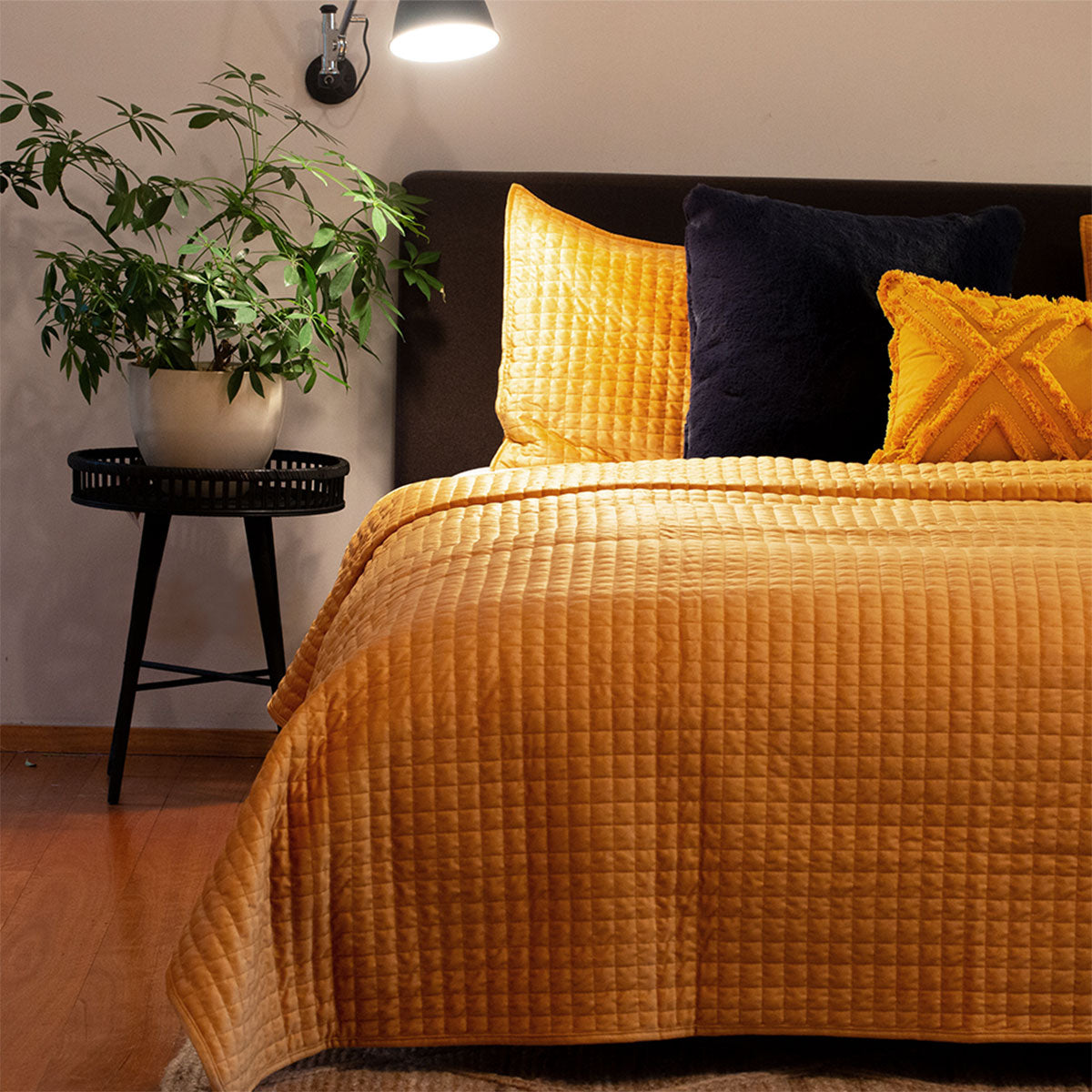 J.Elliot Home | Adela Mustard | Velvet Quilted Coverlet Set | Queen/King
