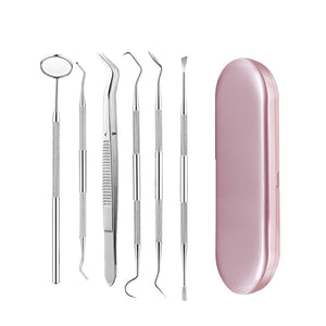 Stainless Steel Dental Tools Set | Oral Care Kit | Metal Storage Case Included