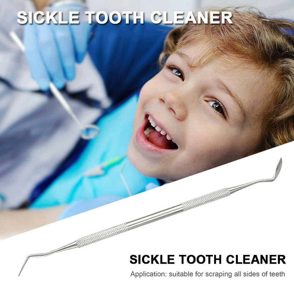 Stainless Steel Dental Tools Set | Oral Care Kit | Metal Storage Case Included