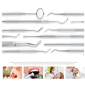 Stainless Steel Dental Tools Set | Oral Care Kit | Metal Storage Case Included