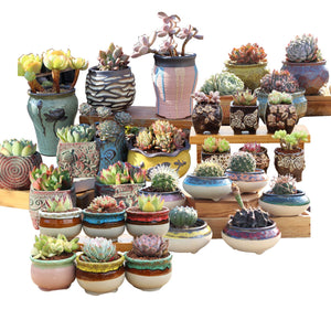 4/5/6 Pots Set Ceramic Clay Pottery Pots | Succulent Flower Planter, Draining Hole (Style 01# 4 Pots Set)