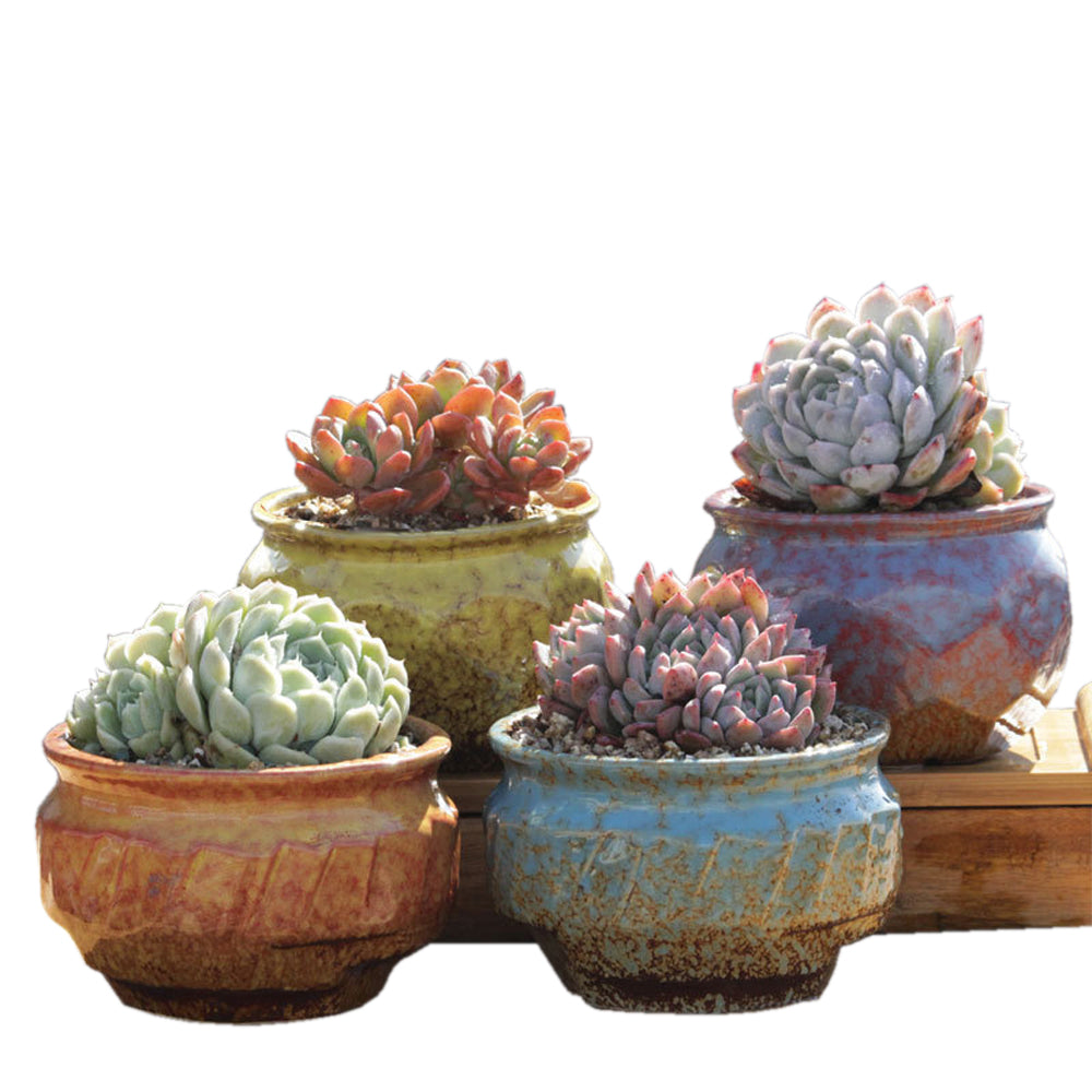 4/5/6 Pots Set Ceramic Clay Pottery Pots | Succulent Flower Planter, Draining Hole (Style 01# 4 Pots Set)