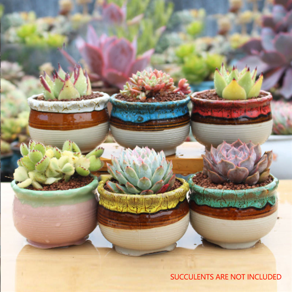 4/5/6 Pots Set Ceramic Clay Pottery Pots | Succulent Flower Planter, Draining Hole (Style 05# 6 Pots Set)